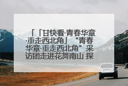 「甘快看·青春华章·重走西北角」“青春华章·重走西北角”采访团走进花舞南山 探寻天水乡村振兴之路