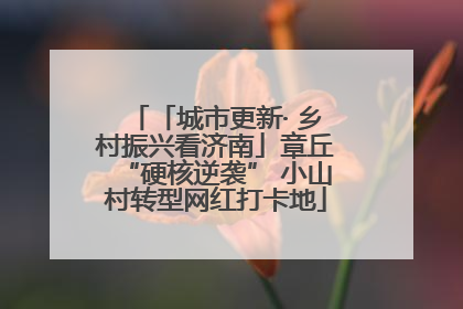 「城市更新· 乡村振兴看济南」章丘“硬核逆袭” 小山村转型网红打卡地