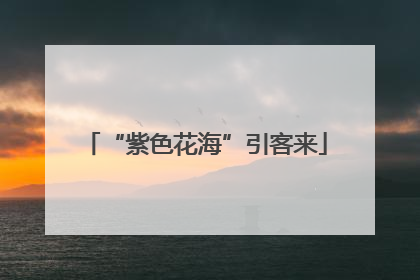 “紫色花海”引客来