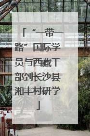 “一带一路”国际学员与西藏干部到长沙县湘丰村研学