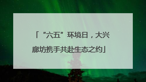 “六五”环境日，大兴廊坊携手共赴生态之约