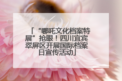 “哪吒文化档案特展”抢眼！四川宜宾翠屏区开展国际档案日宣传活动