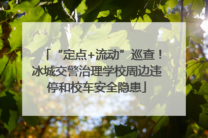 “定点+流动”巡查！冰城交警治理学校周边违停和校车安全隐患