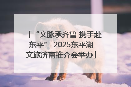 “文脉承齐鲁 携手赴东平” 2025东平湖文旅济南推介会举办