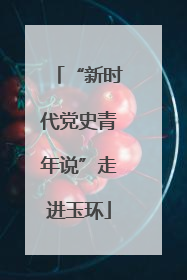 “新时代党史青年说”走进玉环