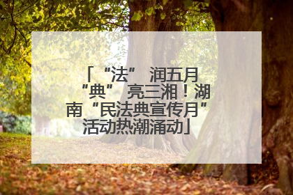 “法” 润五月 “典” 亮三湘！湖南“民法典宣传月”活动热潮涌动