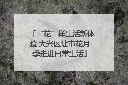 “花”样生活新体验 大兴区让市花月季走进日常生活