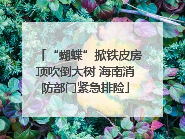 “蝴蝶”掀铁皮房顶吹倒大树 海南消防部门紧急排险