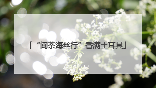 “闽茶海丝行”香满土耳其