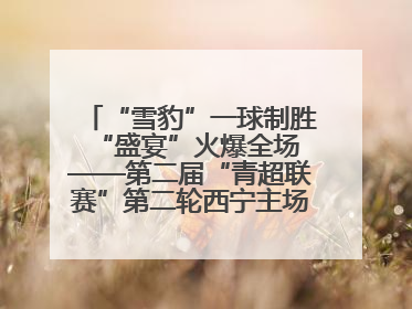 “雪豹”一球制胜 “盛宴”火爆全场——第二届“青超联赛”第二轮西宁主场比赛见闻