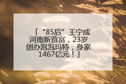 “85后”王宁成河南新首富，23岁创办泡泡玛特，身家1467亿元！