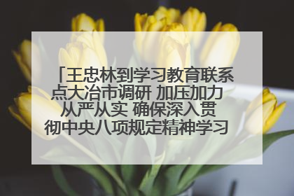 王忠林到学习教育联系点大冶市调研 加压加力 从严从实 确保深入贯彻中央八项规定精神学习教育取得实效