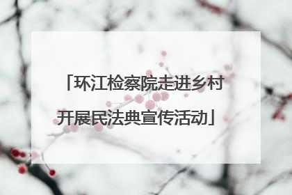 环江检察院走进乡村开展民法典宣传活动