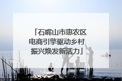 石嘴山市惠农区电商引擎驱动乡村振兴焕发新活力