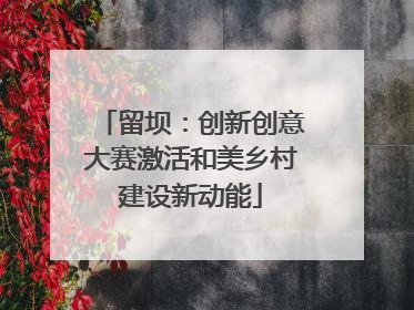 留坝：创新创意大赛激活和美乡村建设新动能
