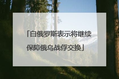 白俄罗斯表示将继续保障俄乌战俘交换