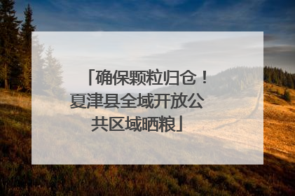 确保颗粒归仓！夏津县全域开放公共区域晒粮