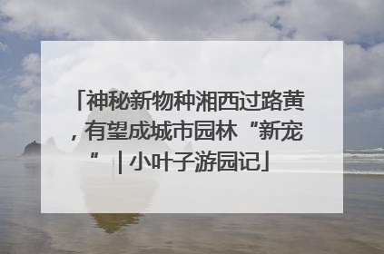 神秘新物种湘西过路黄，有望成城市园林“新宠” | 小叶子游园记