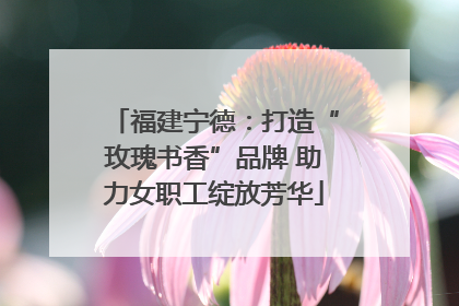 福建宁德：打造“玫瑰书香”品牌 助力女职工绽放芳华