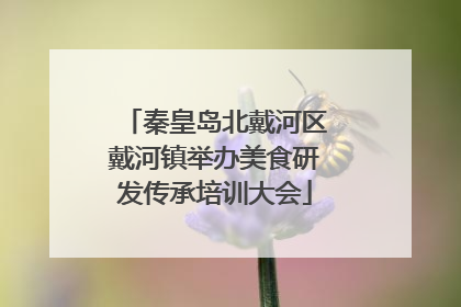 秦皇岛北戴河区戴河镇举办美食研发传承培训大会