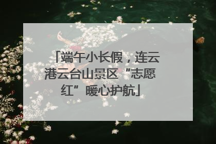 端午小长假，连云港云台山景区“志愿红”暖心护航