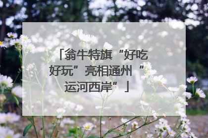 翁牛特旗“好吃好玩”亮相通州“运河西岸”