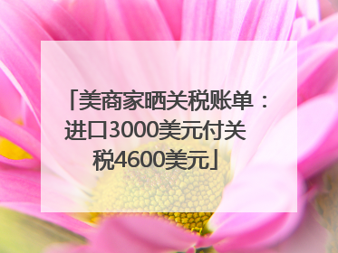 美商家晒关税账单：进口3000美元付关税4600美元