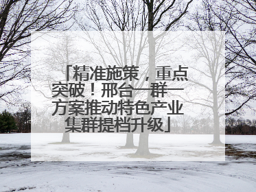 精准施策，重点突破！邢台一群一方案推动特色产业集群提档升级