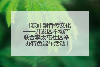 粽叶飘香传文化——开发区不动产联合李太屯社区举办特色端午活动