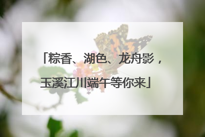 粽香、湖色、龙舟影，玉溪江川端午等你来