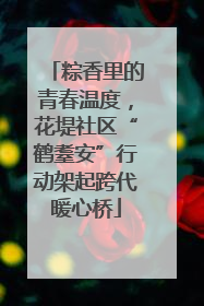 粽香里的青春温度，花堤社区“鹤耋安”行动架起跨代暖心桥
