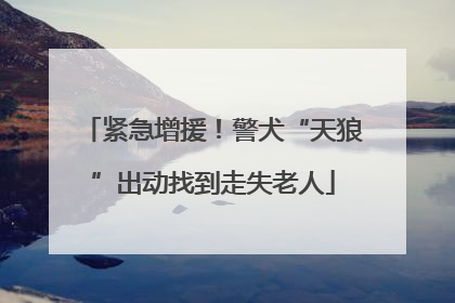 紧急增援！警犬“天狼”出动找到走失老人