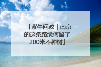 紫牛问政｜南京的这条路缘何留了200米不种树