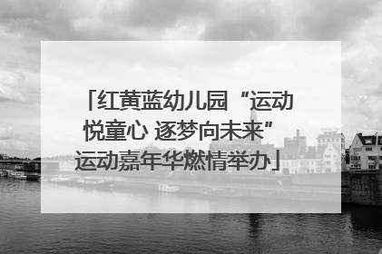 红黄蓝幼儿园“运动悦童心 逐梦向未来”运动嘉年华燃情举办
