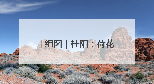 组图｜桂阳：荷花悄然绽放 碧波荷叶绘就美好夏日画卷