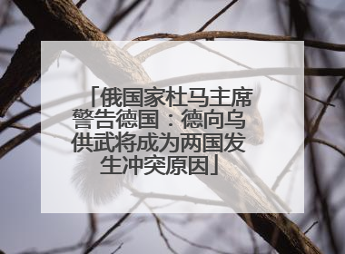 俄国家杜马主席警告德国：德向乌供武将成为两国发生冲突原因