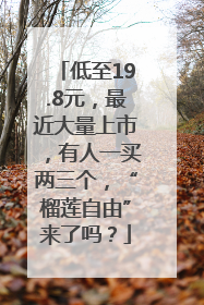 低至19.8元，最近大量上市，有人一买两三个，“榴莲自由”来了吗？