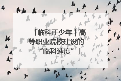 临科正少年｜高等职业院校建设的“临科速度”