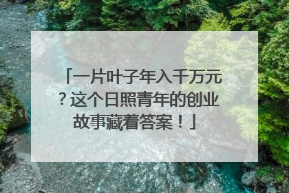 一片叶子年入千万元？这个日照青年的创业故事藏着答案！