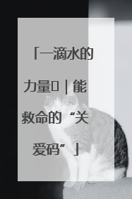 一滴水的力量㉖｜能救命的“关爱码”