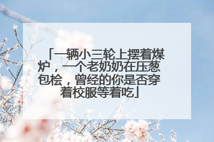 一辆小三轮上摆着煤炉，一个老奶奶在压葱包桧，曾经的你是否穿着校服等着吃