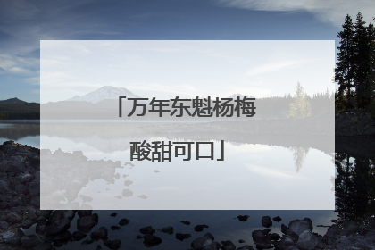 万年东魁杨梅 酸甜可口