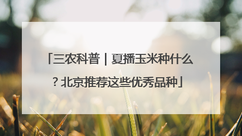 三农科普｜夏播玉米种什么？北京推荐这些优秀品种