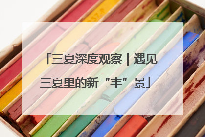三夏深度观察｜遇见三夏里的新“丰”景