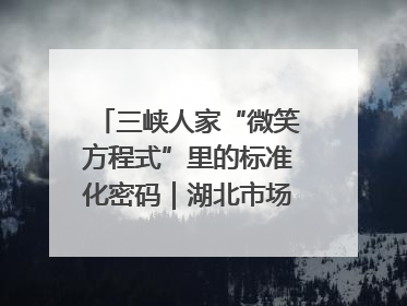 三峡人家“微笑方程式”里的标准化密码｜湖北市场监管所的故事