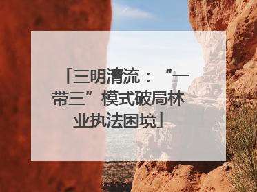 三明清流：“一带三”模式破局林业执法困境