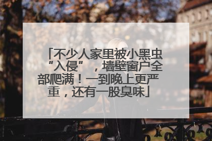 不少人家里被小黑虫“入侵”，墙壁窗户全部爬满！一到晚上更严重，还有一股臭味
