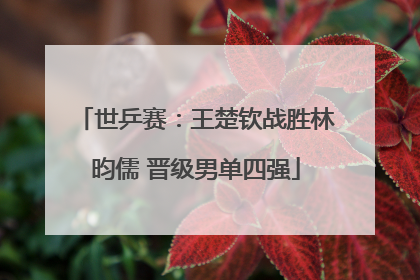 世乒赛：王楚钦战胜林昀儒 晋级男单四强