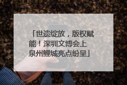 世遗绽放，版权赋能！深圳文博会上 泉州鲤城亮点纷呈
