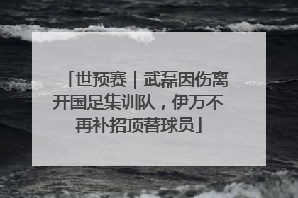 世预赛｜武磊因伤离开国足集训队，伊万不再补招顶替球员